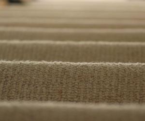 remove wool carpet stains MEANVUS