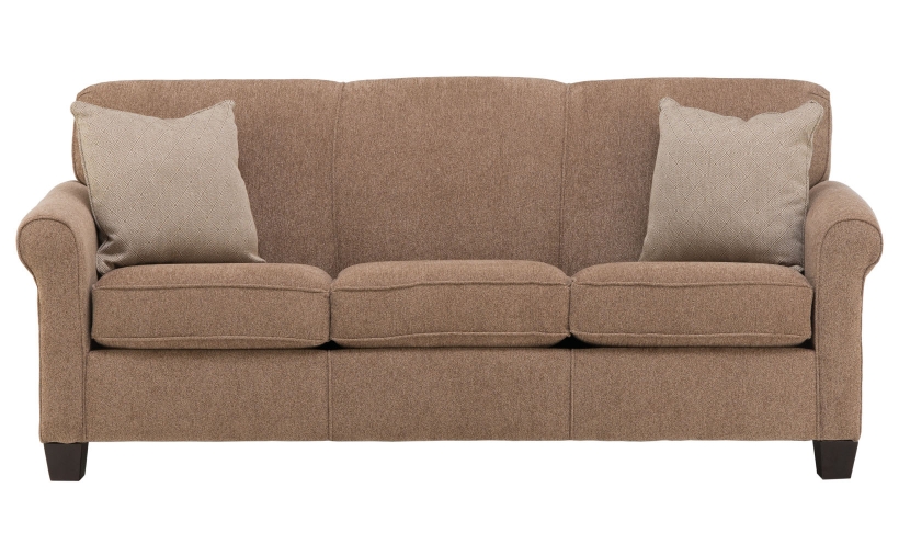 Get queen sleeper sofa for dual functions