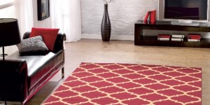 Best rug patterned rugs are a good type of rug to have when you have GFLTYBR