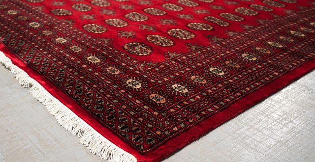 guide-to-bokhara-rugs-elisdecor