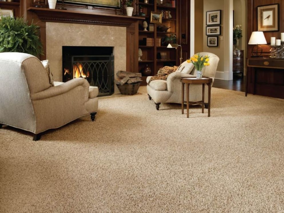 living room carpet 15 best collection of carpet living room MAPKTLH