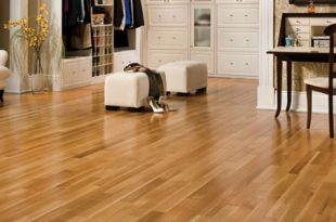 wood floorings designing your house with timber floorings is just an incredible sensation.  it PPUONUX