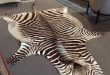 zebra rug trophy-zebra-rug-10x6_77719a.jpg TFKUZAO