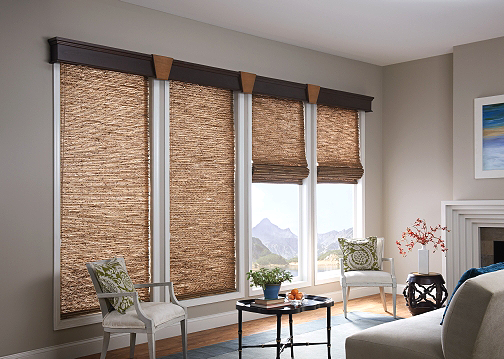 Blinds And Shades Market - Trends, Size, Business Overview and .