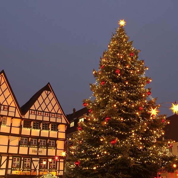 Top Outdoor Christmas Tree Decorations - Christmas Celebration .