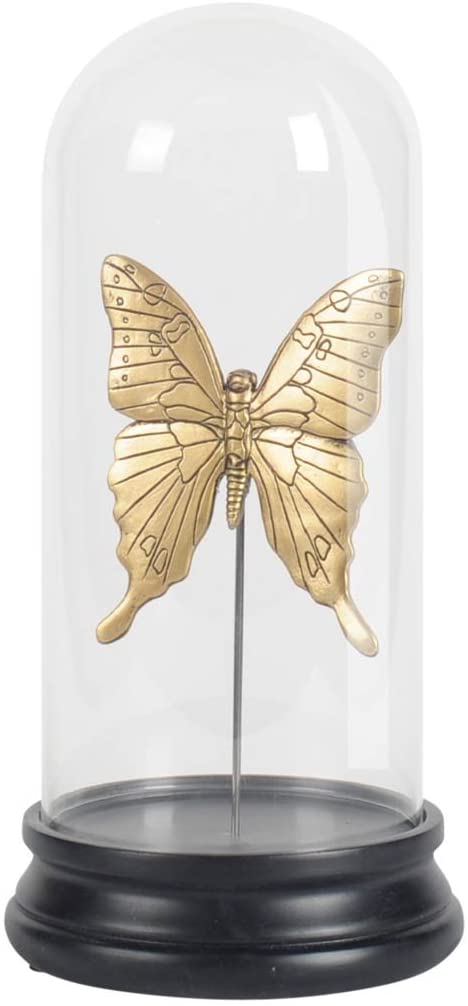Amazon.com: Mercana Art Décor Papilio II Decorative Objects, Gold .